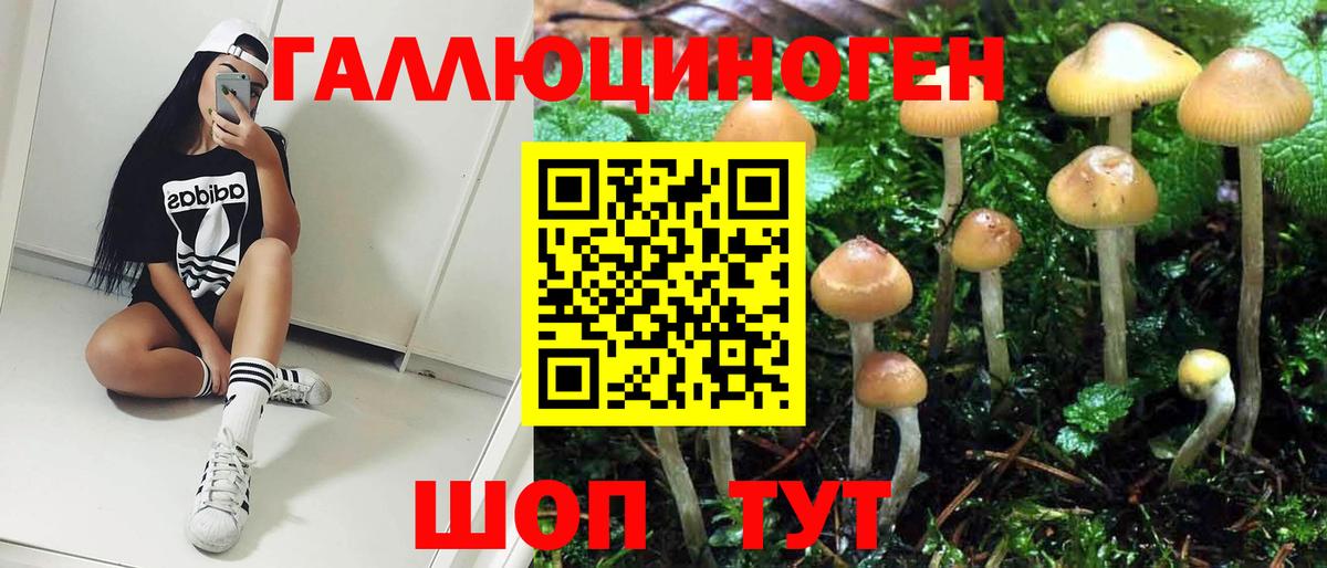 Псилоцибиновые грибы Psilocybine cubensis  Вход с VPN  Воронеж 